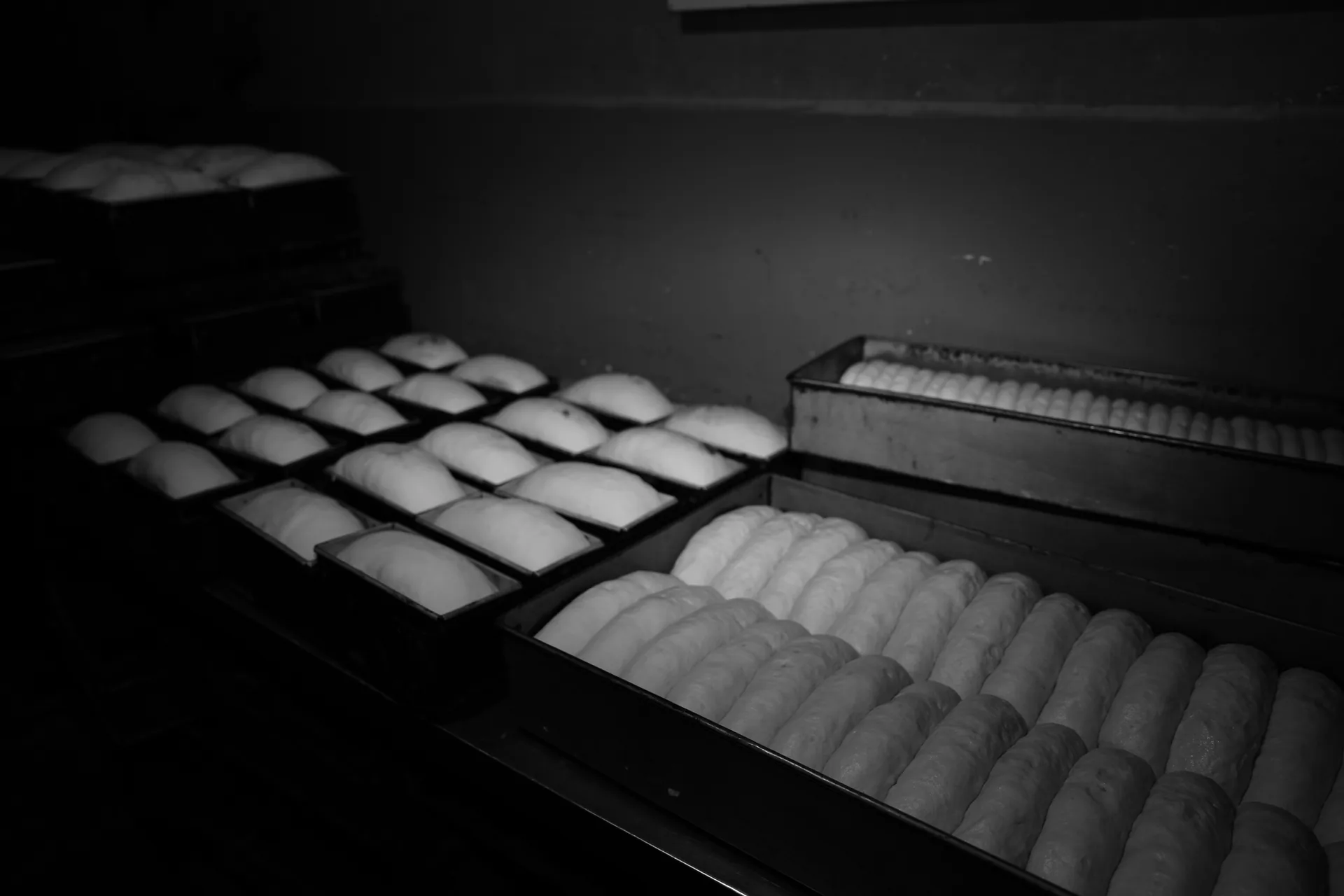 Rows of shaped bread dough resting in baking trays.