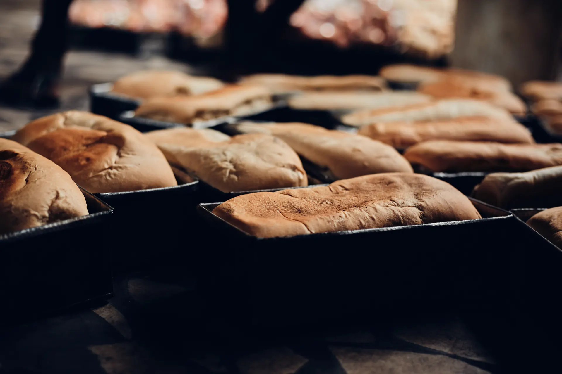 Fresh loaves baking in rows of dark metal tins.